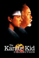 The Karate Kid